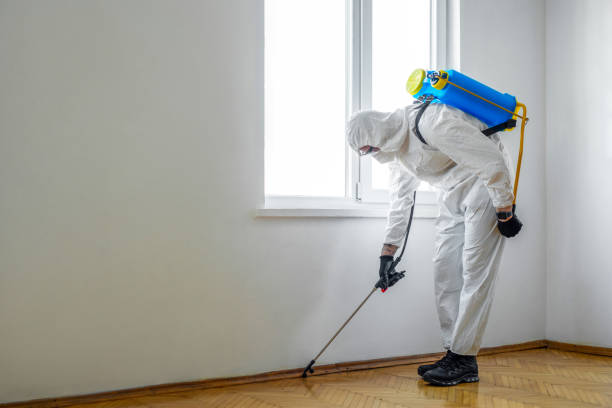 Best Commercial Pest Control  in Diamond Bar, CA